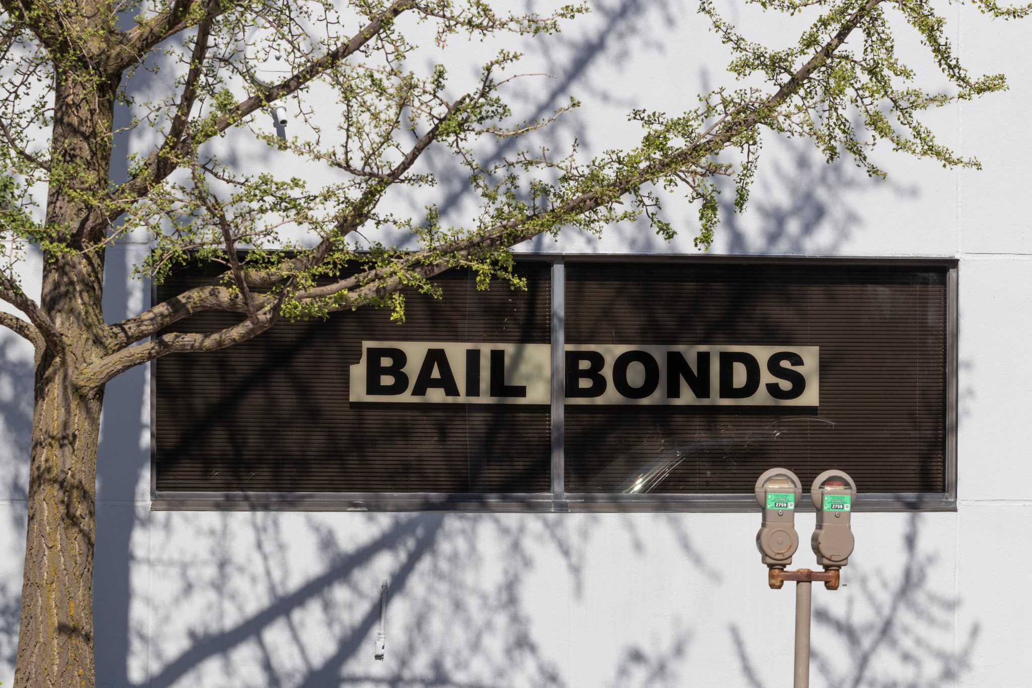 All In Bail Bonds